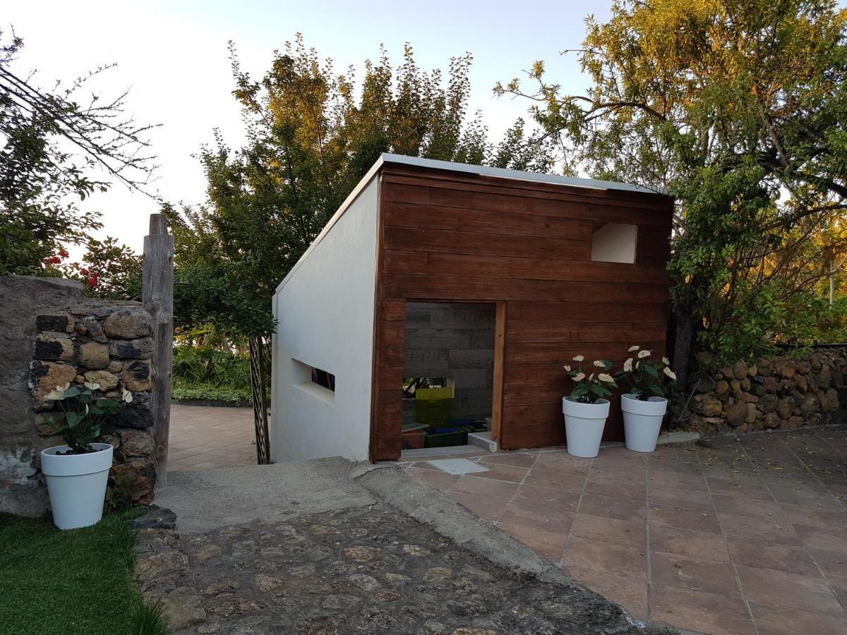 Finca Los Ciruelos Casas Rurales Икод-де-лос-Винос Экстерьер фото