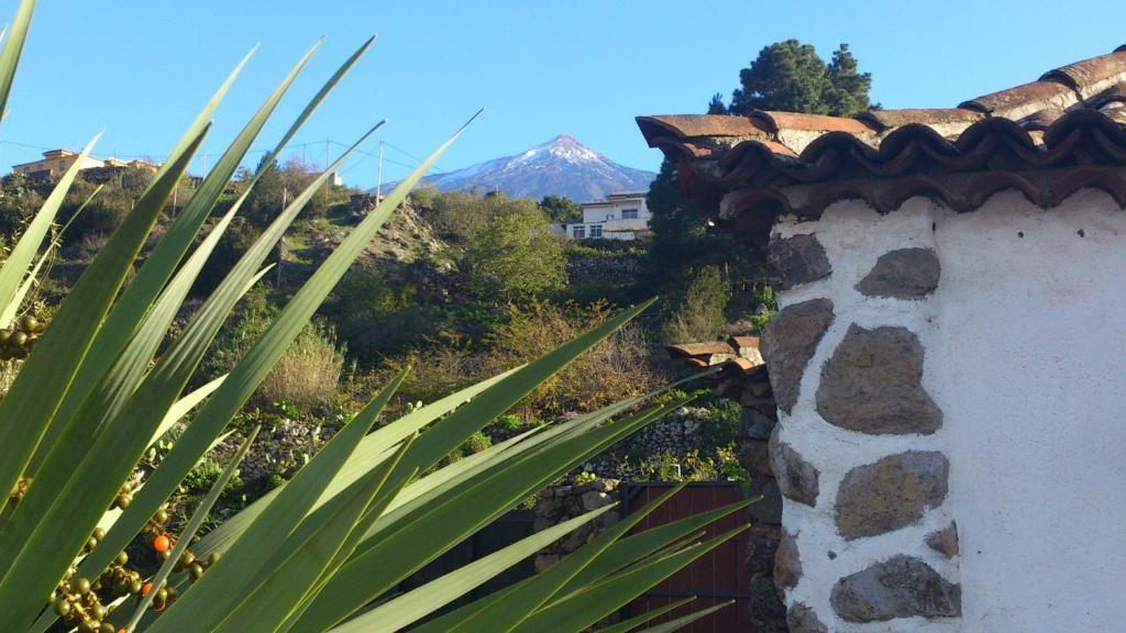 Finca Los Ciruelos Casas Rurales Икод-де-лос-Винос Экстерьер фото