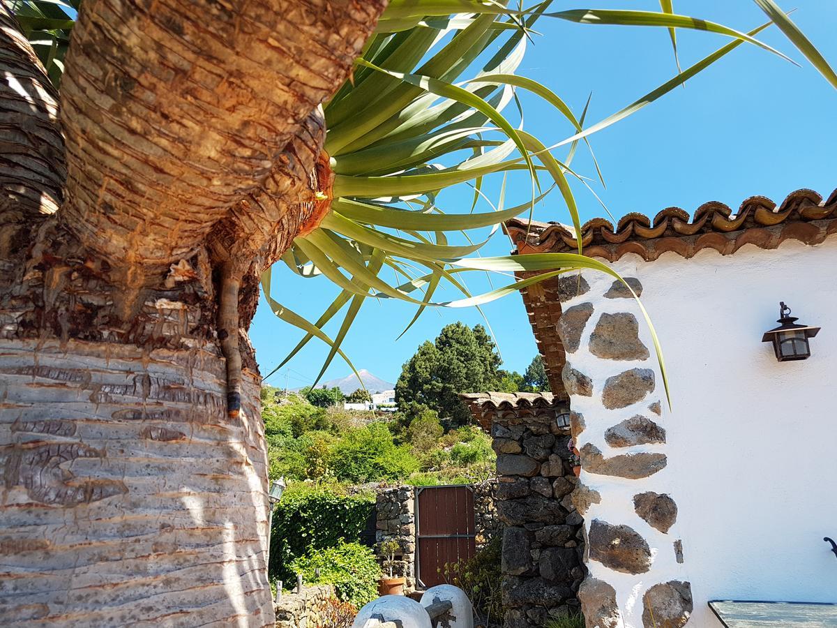 Finca Los Ciruelos Casas Rurales Икод-де-лос-Винос Экстерьер фото
